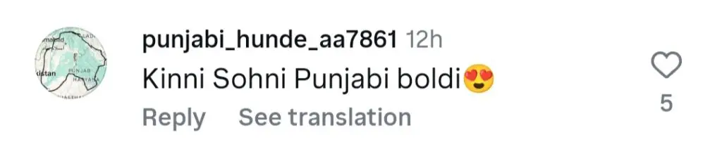 Ushna Shah Applauded For Her Punjabi