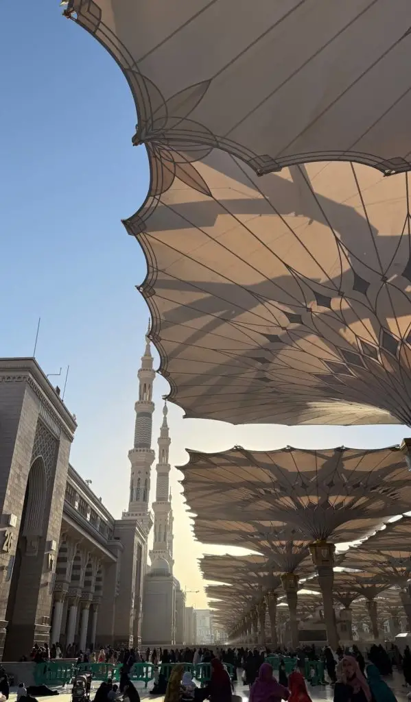 Pakistani celebrities in Madinah on Eid Milad un Nabi 2025