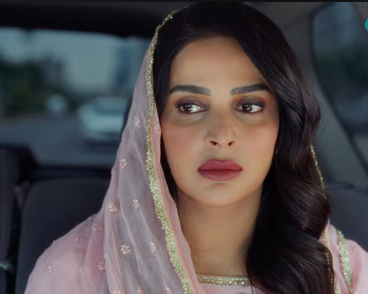 Pamaal Cast, Schedule and Timings