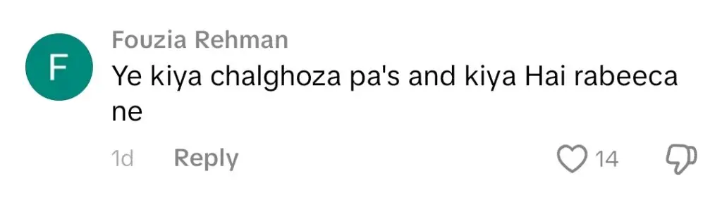 Hussain Tareen’s Funny Reel Get Massive Backlash