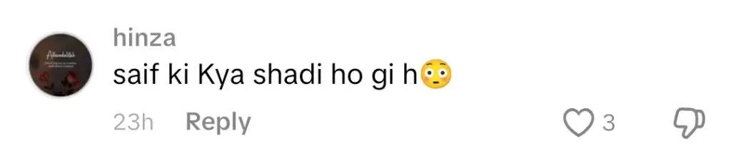Tamasha Fame Saif Ali Khan Relationship Status