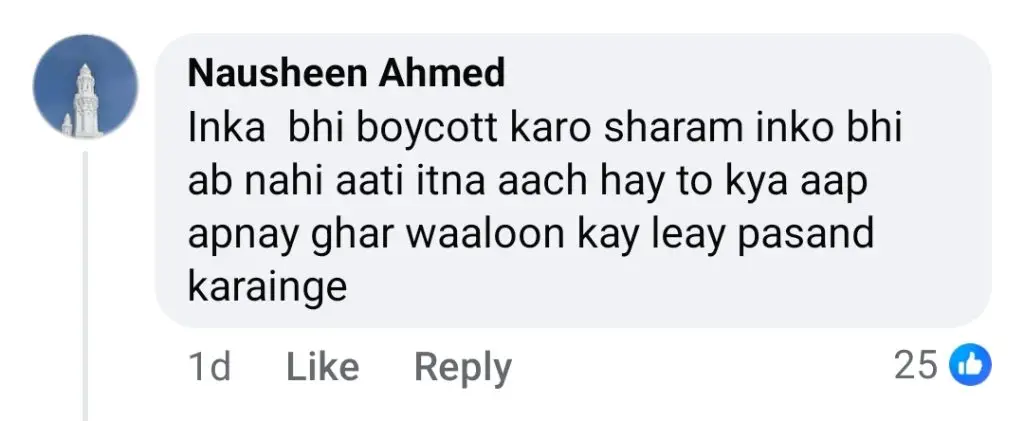 Kya Drama Hey Panel Faces Backlash for Praising Lazawal Ishq