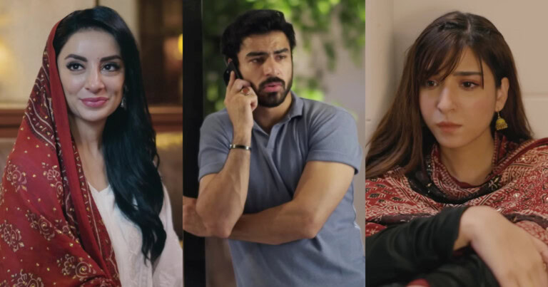 Biryani Episode 14 – Big Reveal & Loopholes