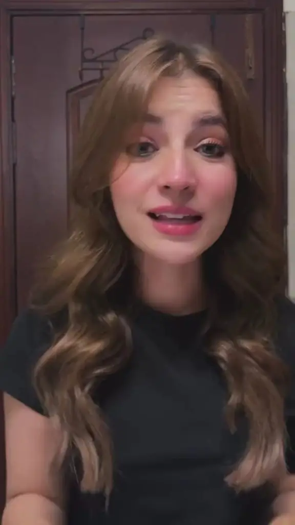 Internet Trolls Dananeer Mobeen’s Latest Video