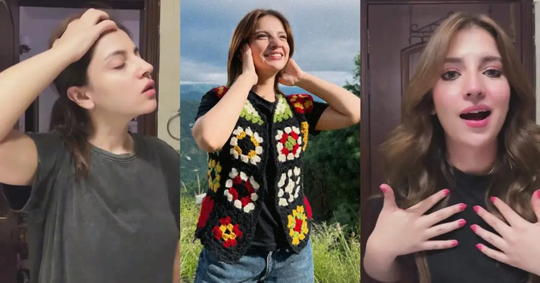 Internet Trolls Dananeer Mobeen’s Latest Video
