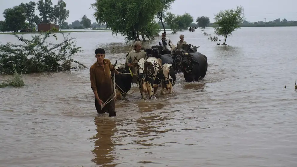 Arifa Siddiqui & Dr Nabiha Ali Khan Homes Destroyed By Floods