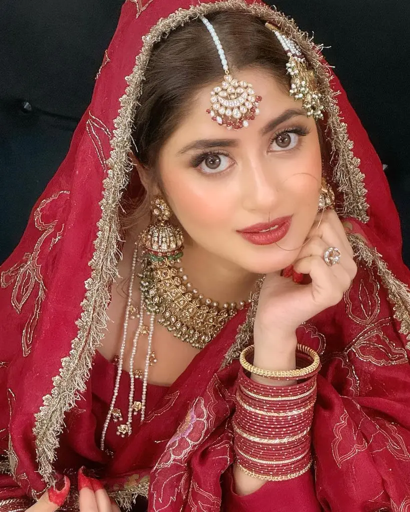 12 Pakistani Stars Who Shine Beyond Social Media