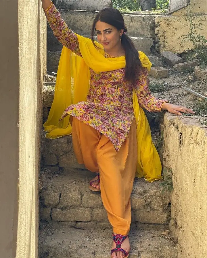 Ushna Shah Applauded For Her Punjabi