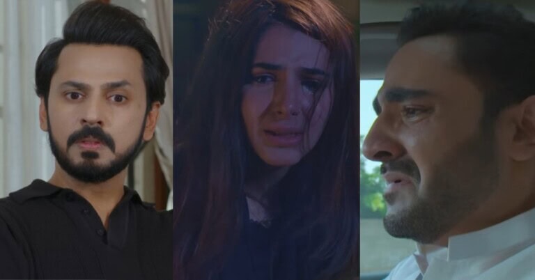 Laadli Last Episode Public Reaction