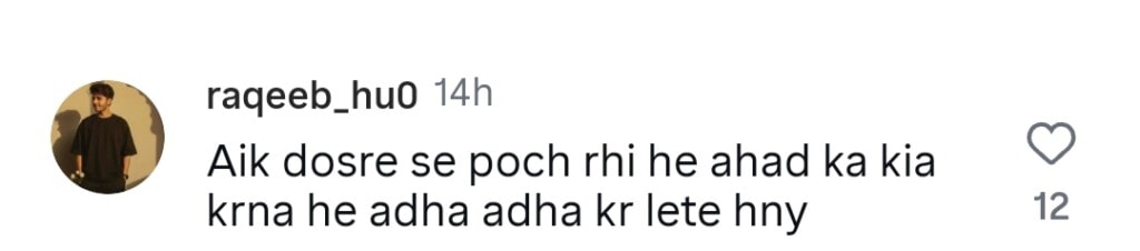 Ramsha Khan & Dananeer’s Reunion Gets Mixed Reactions