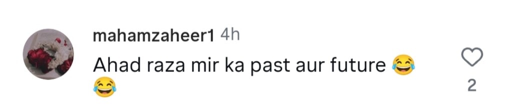 Ramsha Khan & Dananeer’s Reunion Gets Mixed Reactions