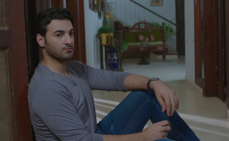 Laadli Last Episode Public Reaction