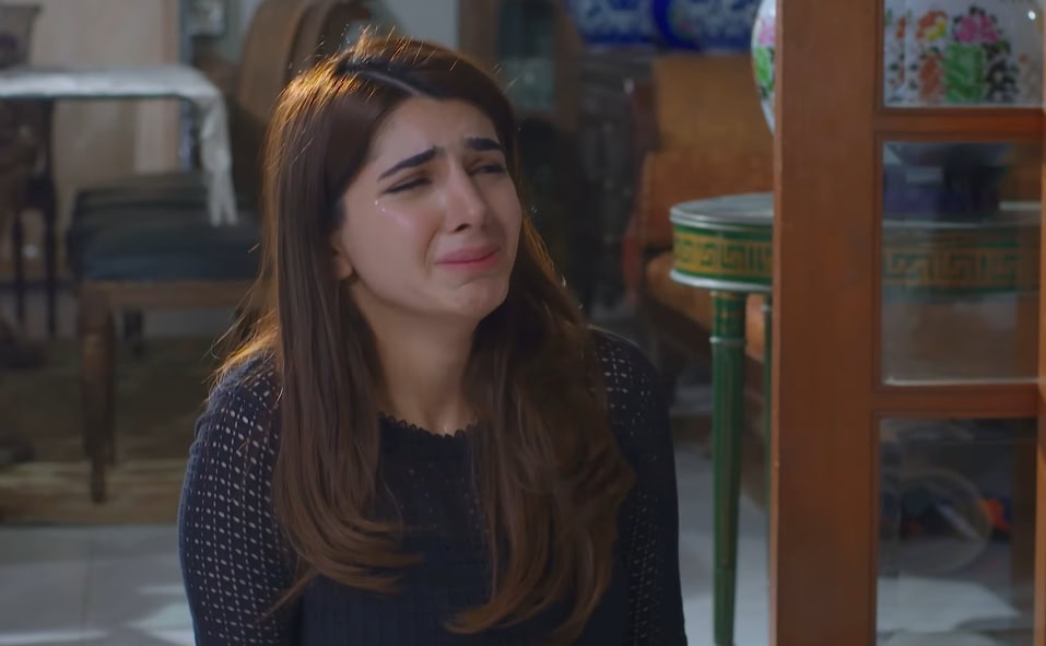 Laadli Last Episode Public Reaction