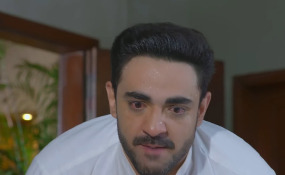 Laadli Last Episode Public Reaction