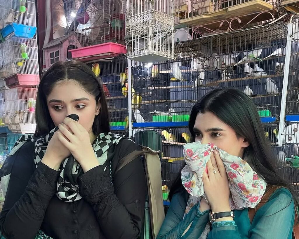Who is Lubna from Sanwal Yaar Piya