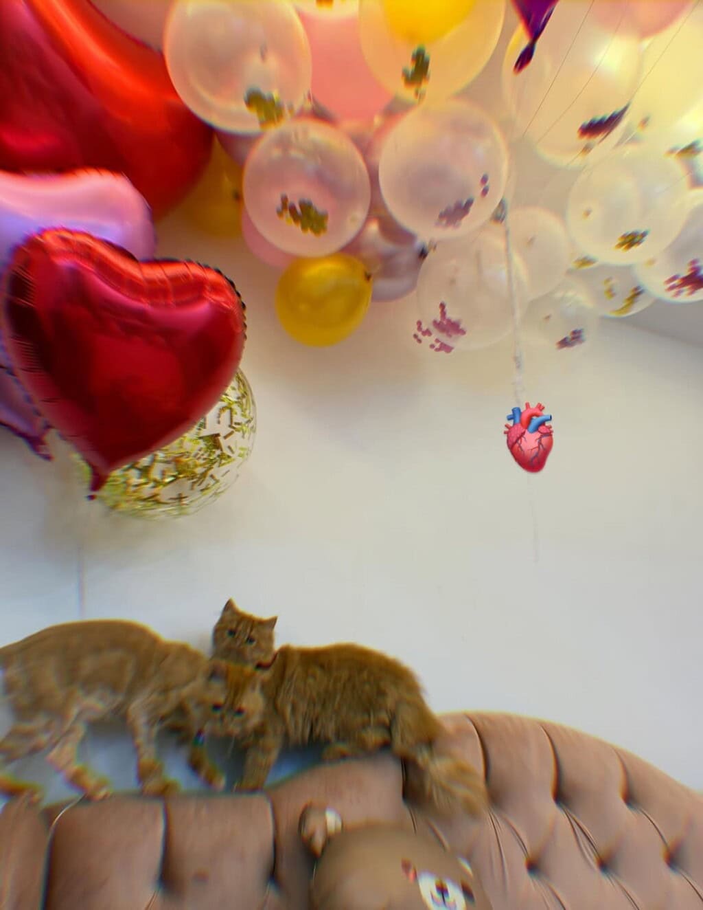 Momina Iqbal’s Adorable Family Pictures