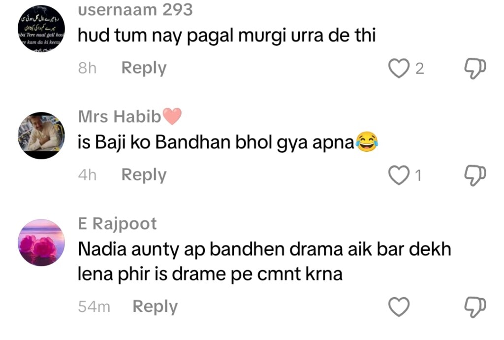 Nadia Khan Trolls Laila Of Jama Taqseem