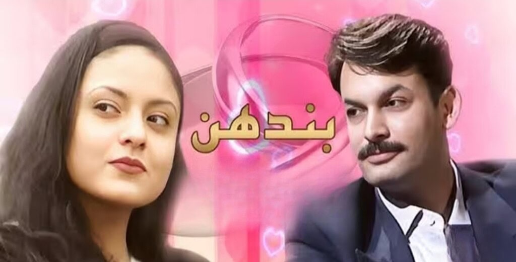 Nadia Khan Trolls Laila Of Jama Taqseem