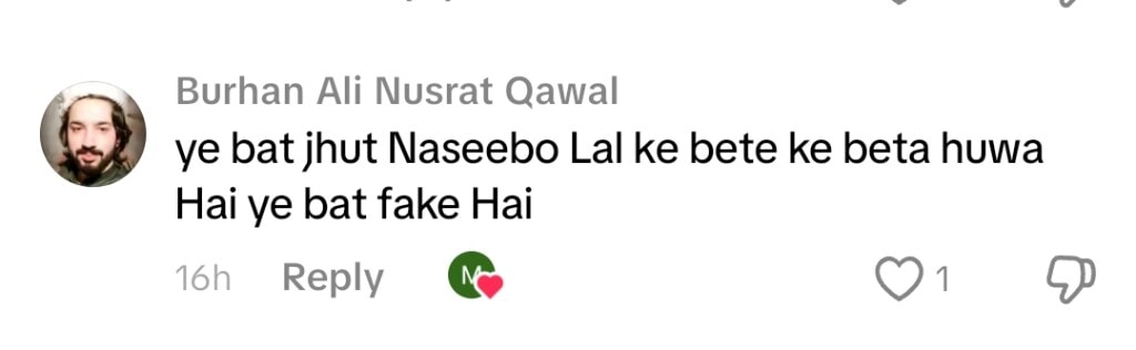 Is Naseebo Lal Really a Mother Again