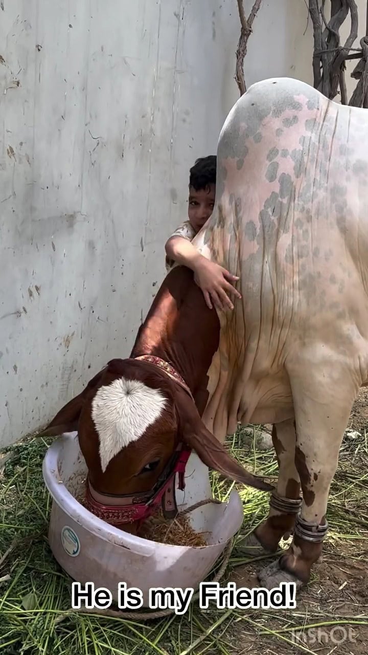 Faysal Quraishi’s Qurbani In Presence Of Son