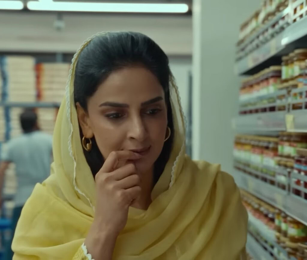 Pamaal Episode 8 – Malika’s Actions & Raza’s Reaction Triggers Debate
