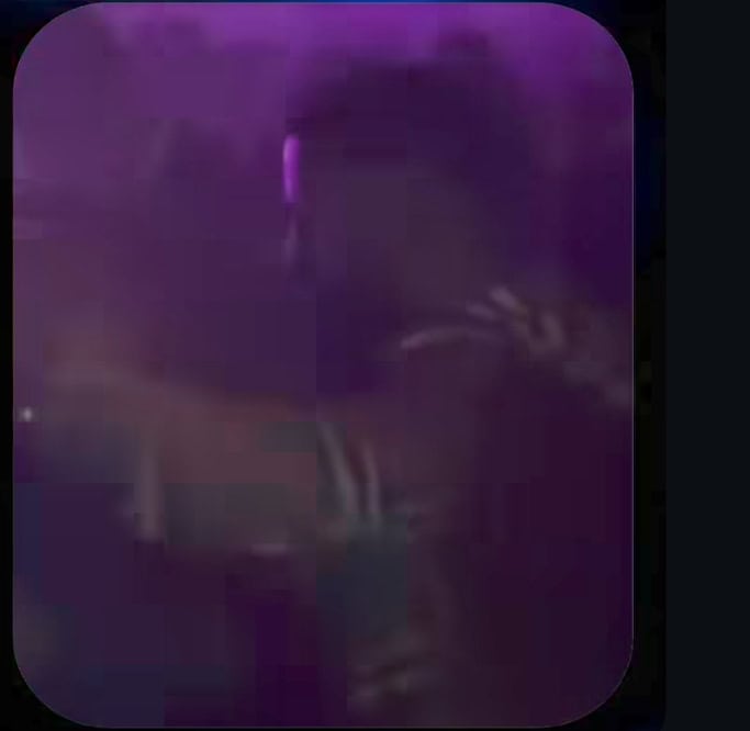 Rajab Butt’s Recent Drunk Video From Club Ignites Backlash