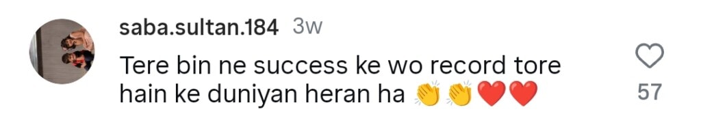 Shani Arshad Breaks Silence on Tere Bin OST’s Bollywood Resemblance