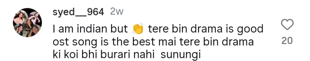 Shani Arshad Breaks Silence on Tere Bin OST’s Bollywood Resemblance