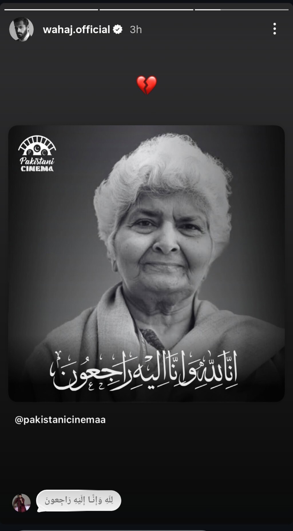 Pakistani Celebrities’ Condolences on Dr. Arfa Sayeda Zehra’s Demise