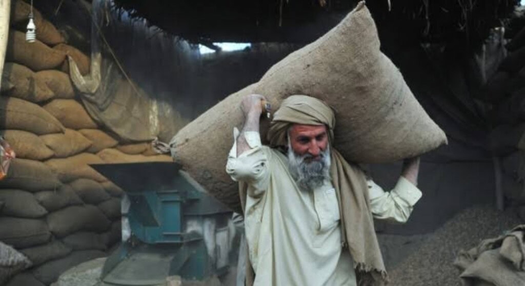Frieha Altaf About Struggles of Men As Bread Winners