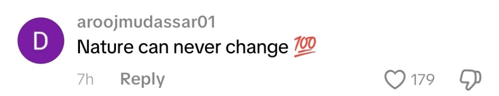 Rajab Butt’s Recent Drunk Video From Club Ignites Backlash