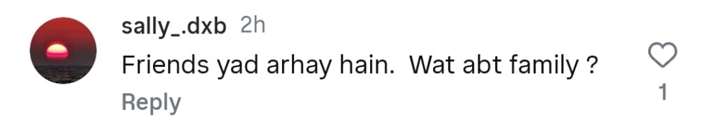 Rajab Butt Gets Trolled for Overacting About Missing Pakistan
