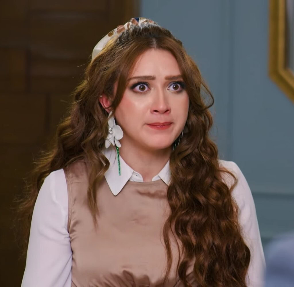 Most Viral Characters Of Pakistani Dramas 2025