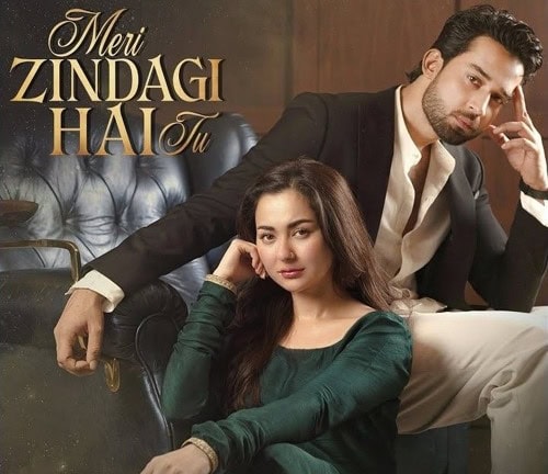 Meri Zindagi hai Tu – Hania Aamir Beating Bilal Abbas Khan Goes Viral