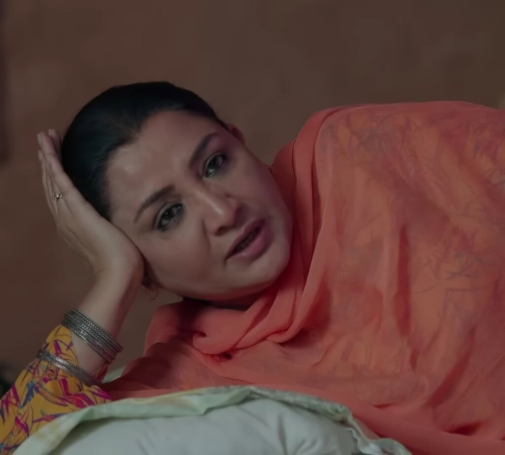 22 Best Female Peformances In Pakistani Dramas 2025
