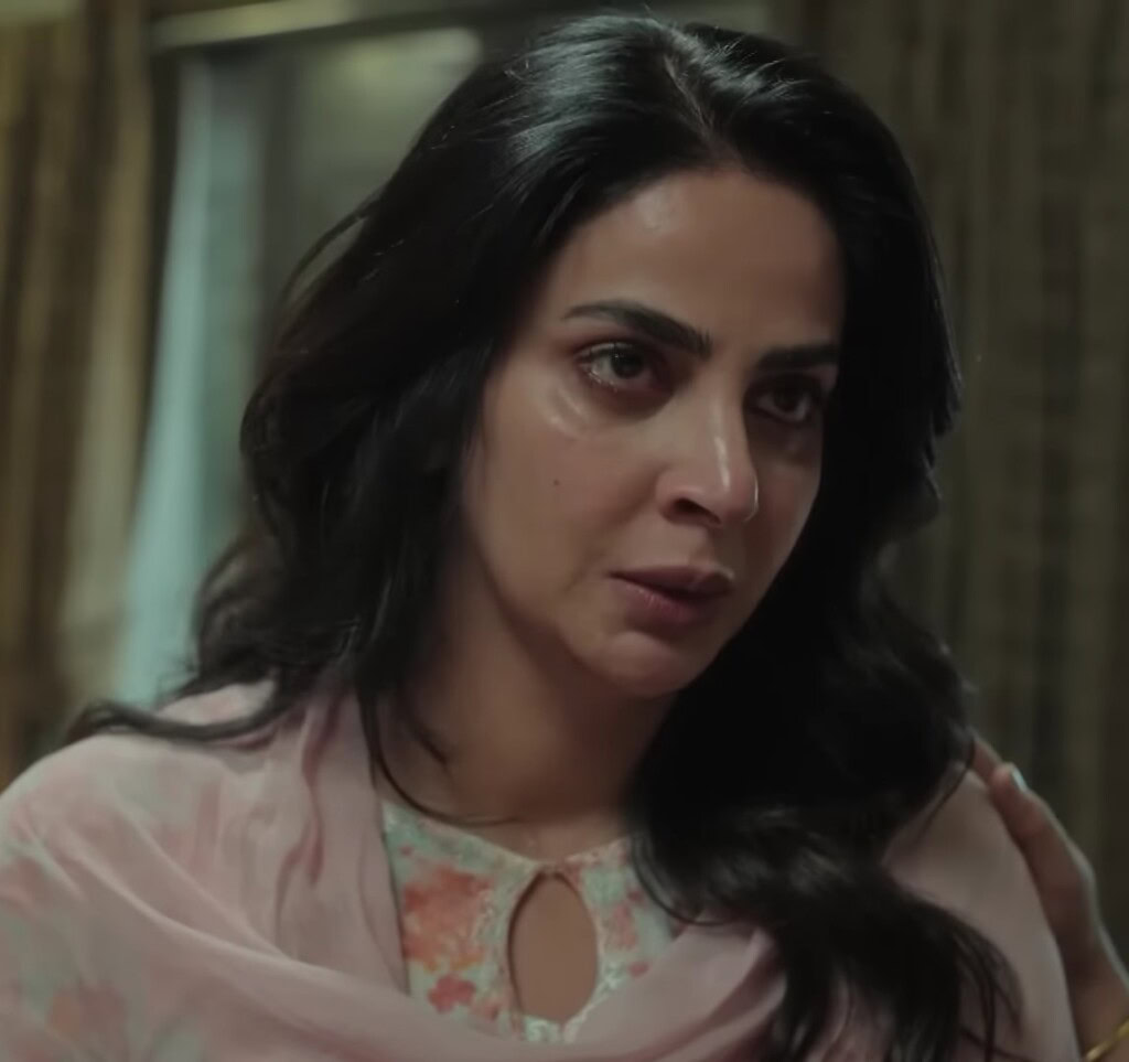 Pamaal Episode 11 – Malika’s Plight Elicits Mixed Reactions