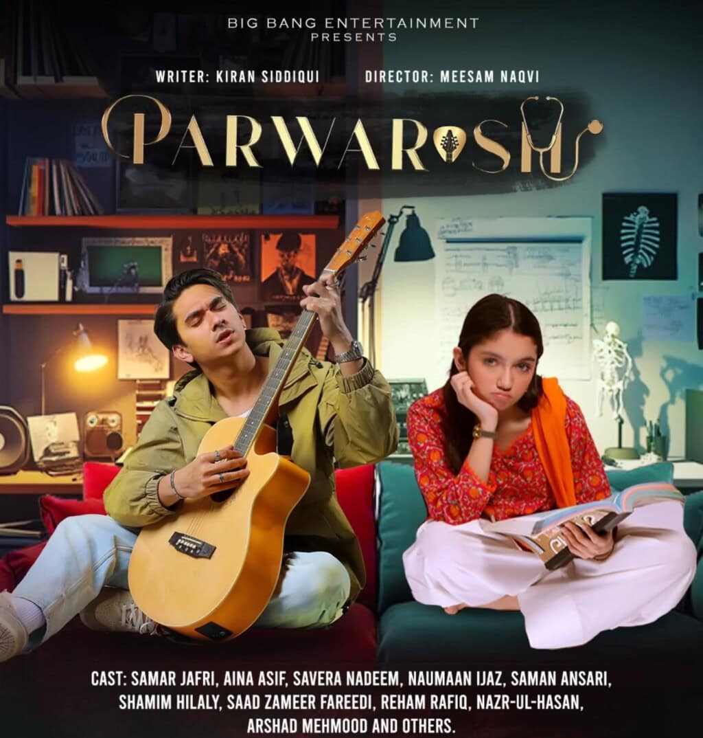 10 Best Pakistani Dramas Of 2025