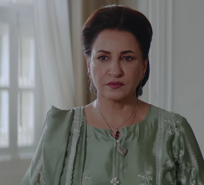 22 Best Female Peformances In Pakistani Dramas 2025