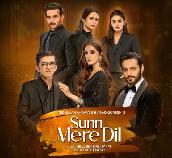 12 Worst Pakistani Dramas Of 2025