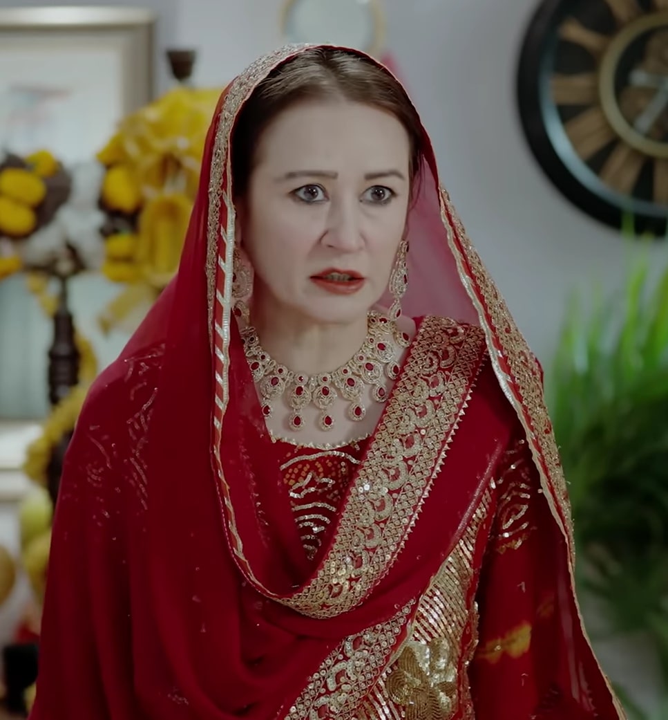 Most Viral Characters Of Pakistani Dramas 2025