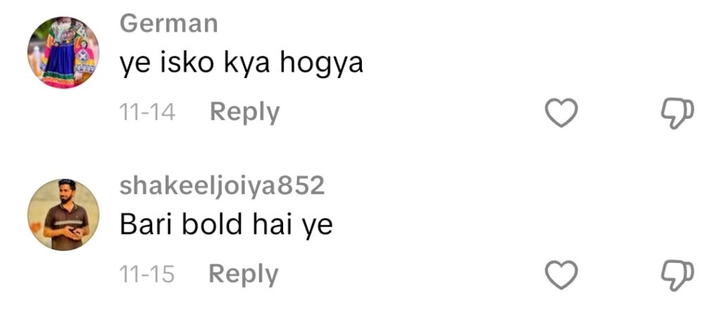 Shazeal Shoukat Shares Bold Side On TikTok