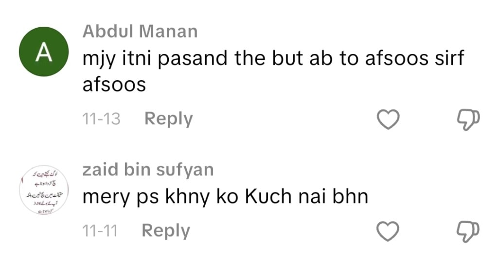 Shazeal Shoukat Shares Bold Side On TikTok