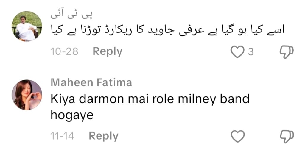 Shazeal Shoukat Shares Bold Side On TikTok