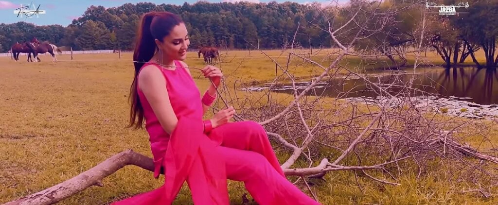 Malkoo Accuses Fiza Ali of Stealing His Song
