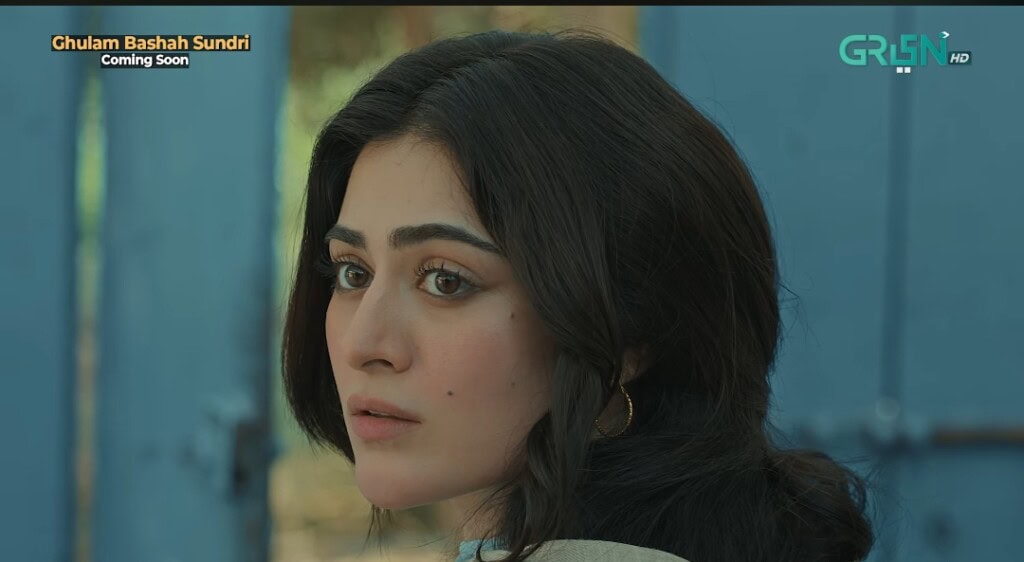Imran Ashraf & Hina Afridi Upcoming Drama Teaser