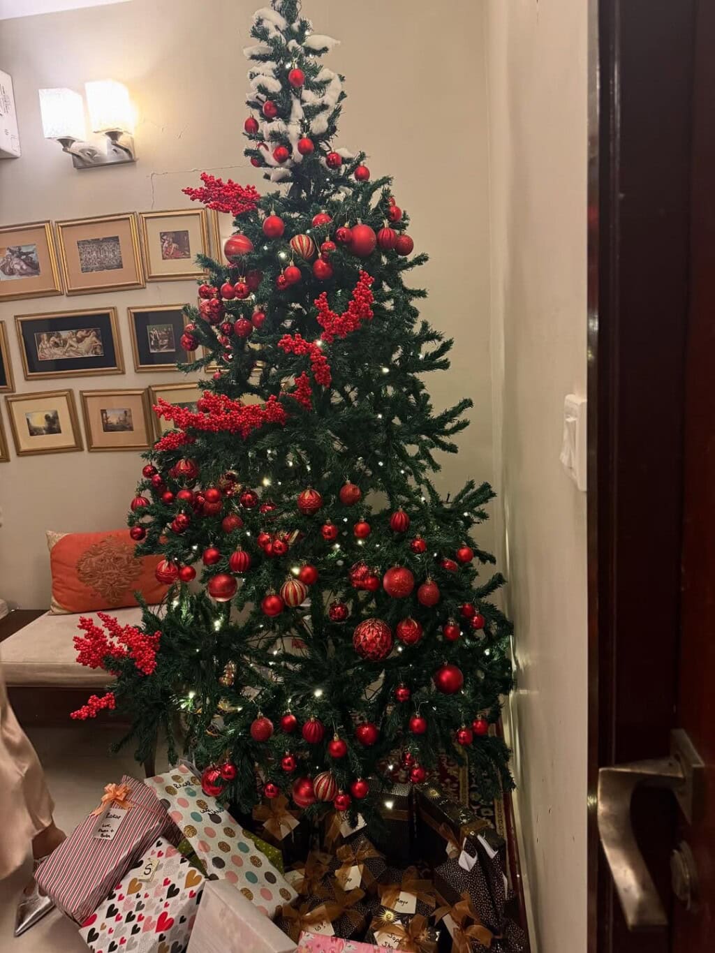 Pakistani Celebrities Celebrate Christmas 2025
