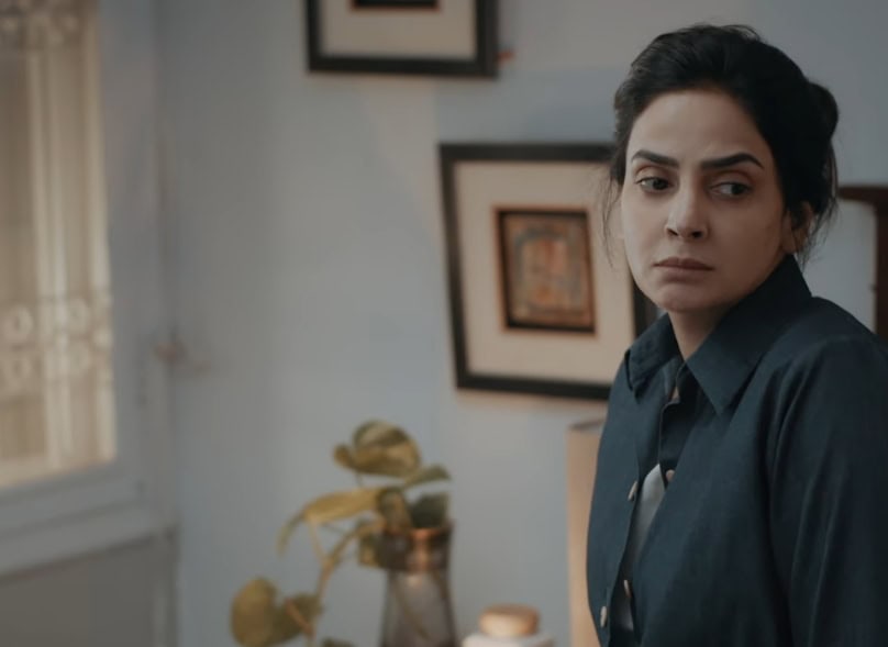 Saba Qamar’s Case No.9 No Make Up Appearance & Statement Raises Questions