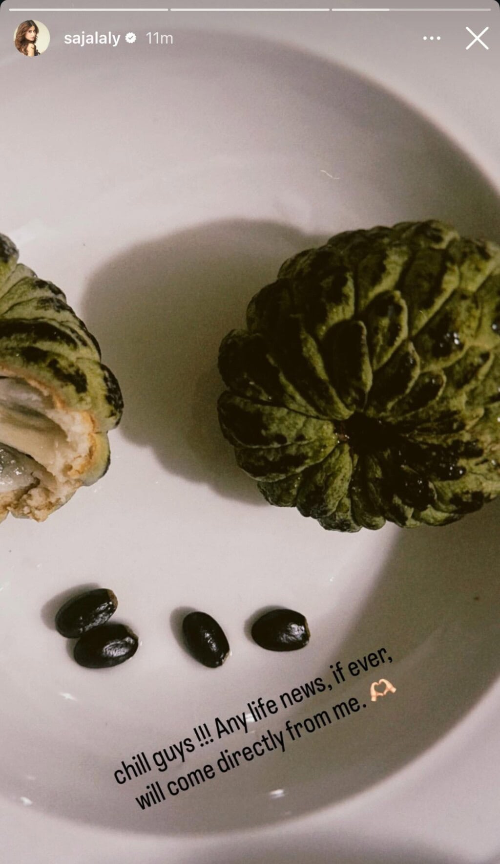 Sajal Ali & Hamza Sohail Marriage News Excites Fans