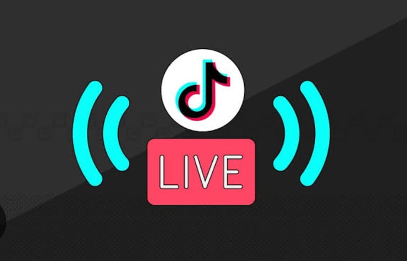 Rajab Butt’s Heavy Earning From Tiktok Live Revealed