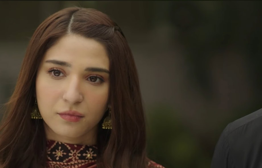 Biryani Last Episode Public Reaction